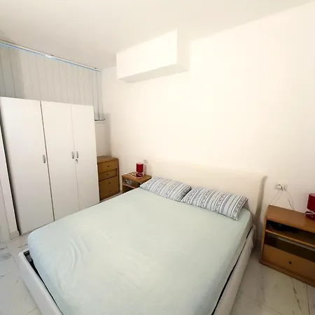 Ibis *